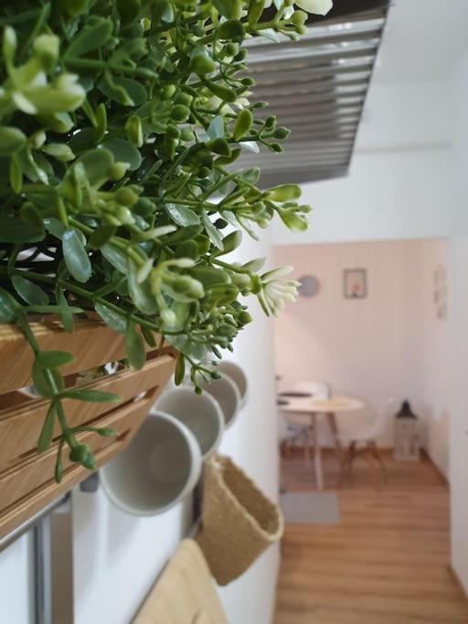 Andrea Apartman Miskolc Belvarosaban Εξωτερικό φωτογραφία